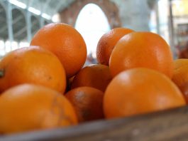 Care este „evenimentul zilei” intr-un city break in Valencia? 4 zile, 4 experiente!